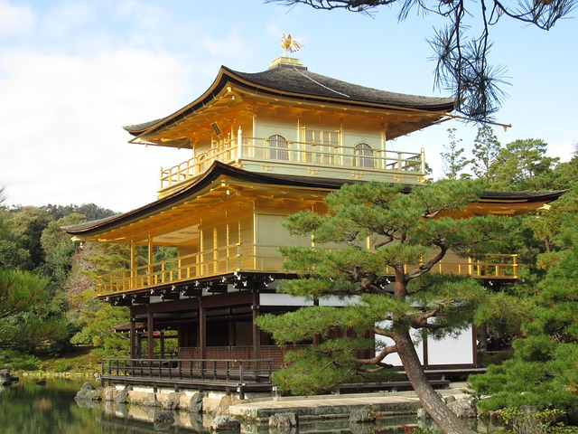 Pagode, Træ, Shintoisme, Tempel