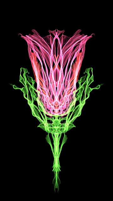 Free nature desktop color illustration