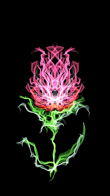 Free desktop nature color illustration