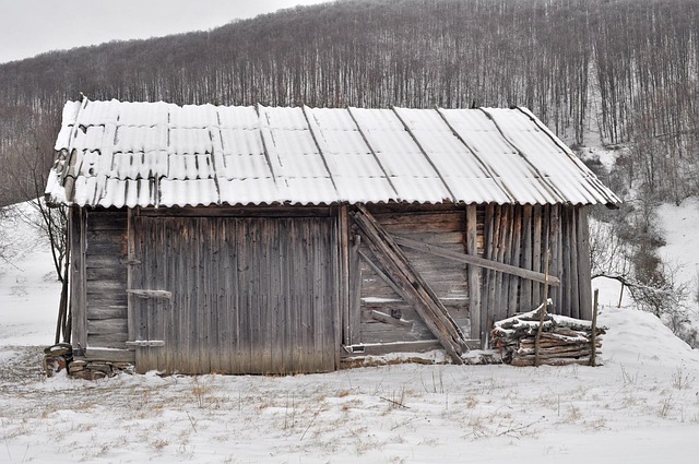Free Snow Hut photo and picture