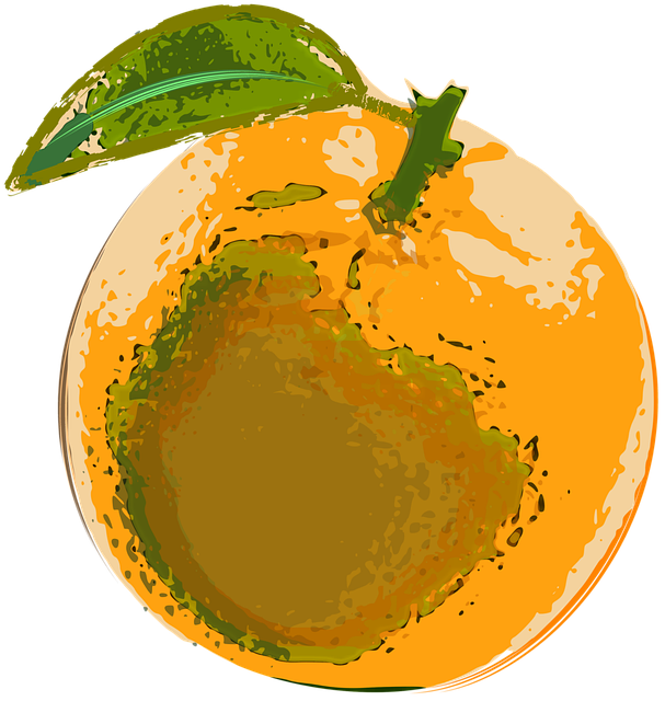 Free vector graphics illustration vector