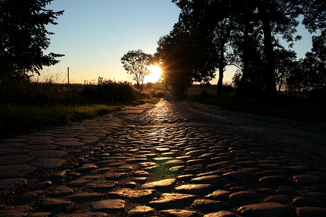 Free Cobblestone Road photo and picture