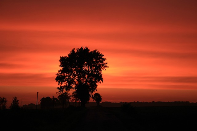 Free Sunset Nature photo and picture