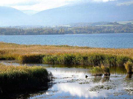 Corp De Apa, Natură, Nici O Persoană Nu