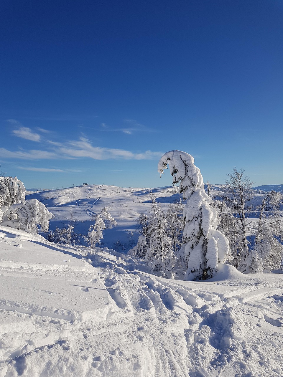 雪 冬天 冰 - Pixabay上的免费照片 - Pixabay
