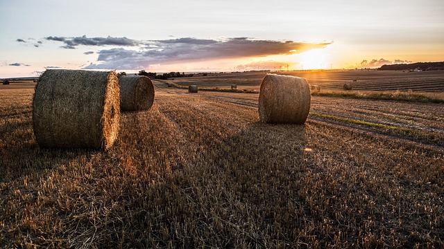 Free Nature Landscape photo and picture