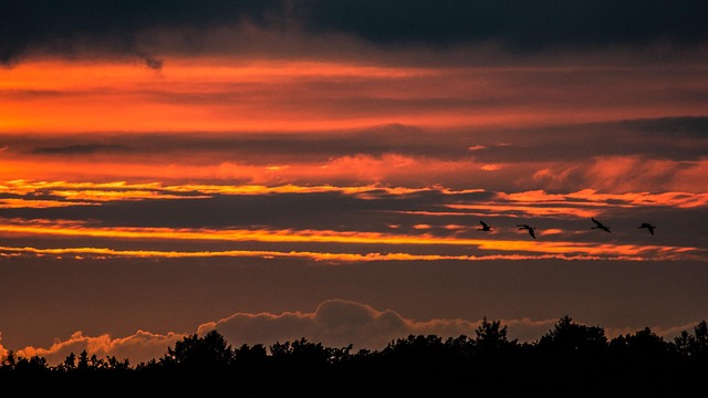 Free Sunset Nature photo and picture