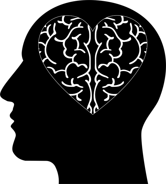Free cranium head abstract illustration