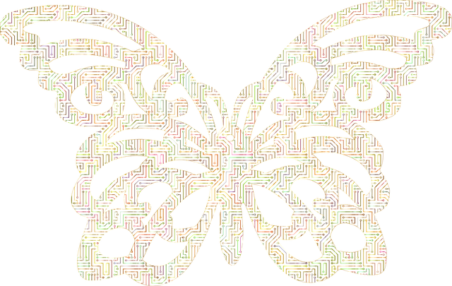 Free butterfly animal insect illustration
