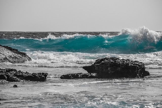 Free Water Sea photo and picture