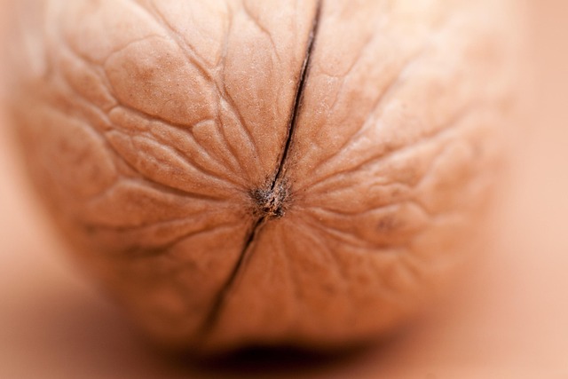 Download free HD stock image of Walnut Walnuts Free Walnut Walnuts photo and picture