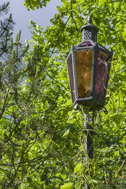 Natur, Holz, Später, Lampe, Dekoration