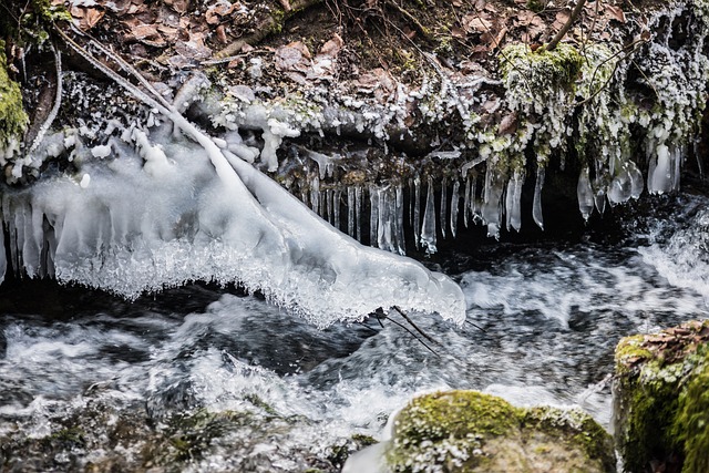 Free Waters Nature photo and picture