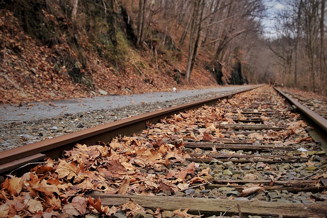 Free Railroad Track Railway photo and picture