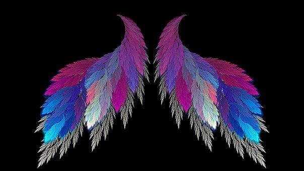 Фракталите, Apophysis, Сърце