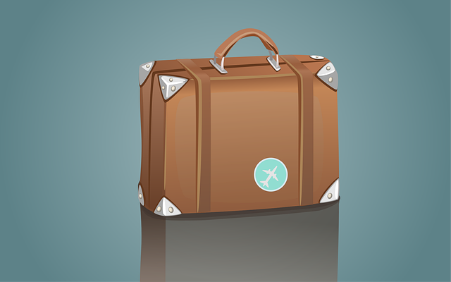 Free suitcase briefcase travel illustration