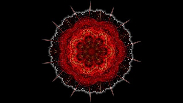 Fractals, Apophysis, Rozen, Verbeelding