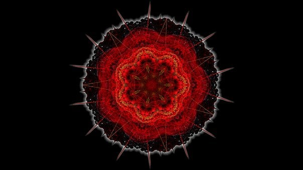 Фракталите, Apophysis, Рози, Въображение