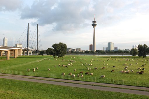 Free Television Tower Tv-Tower photo and picture