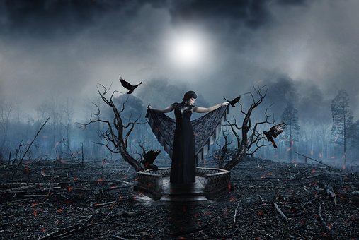 Free Tree Smoke photo and picture