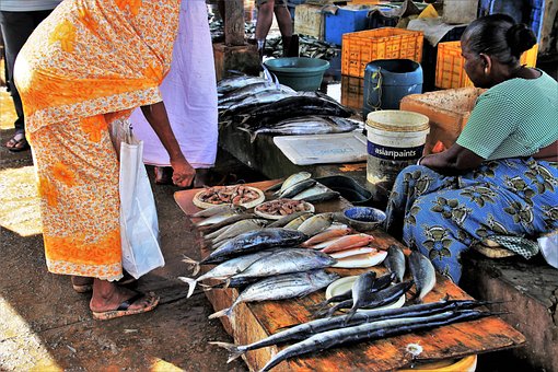 Free Fish Market People photo and picture