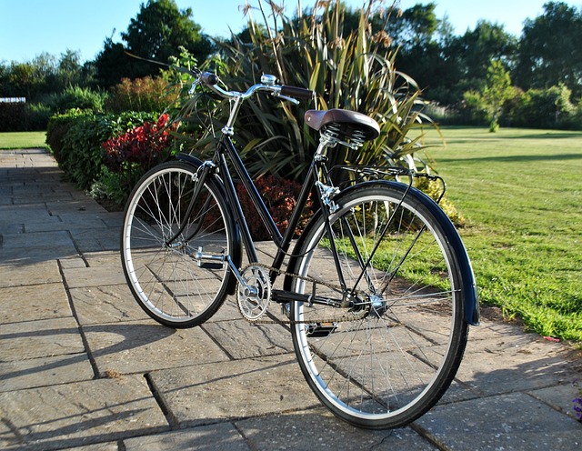 Free Wheel Bike photo and picture