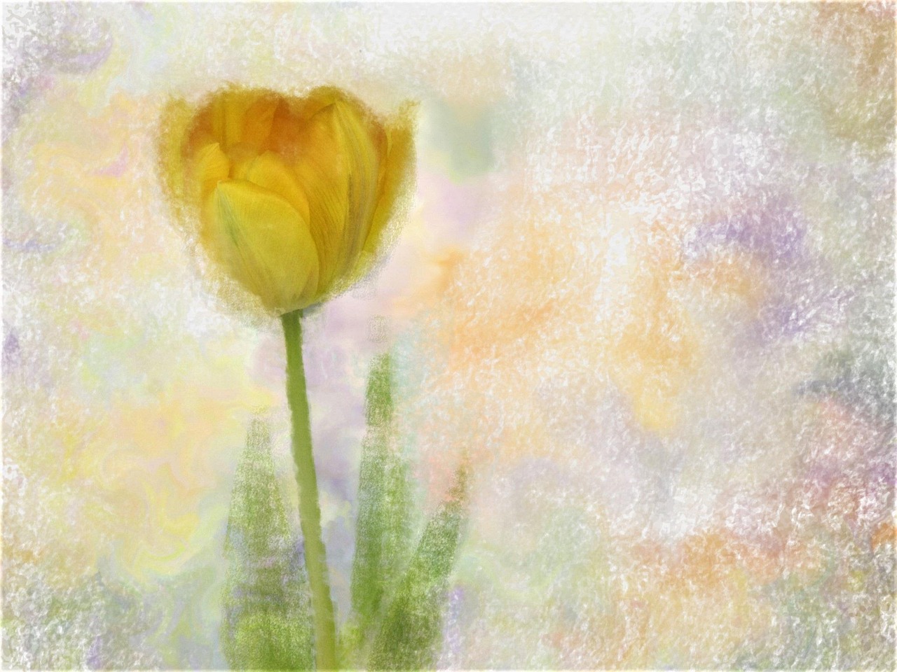 Paper - free online jigsaw puzzle photo