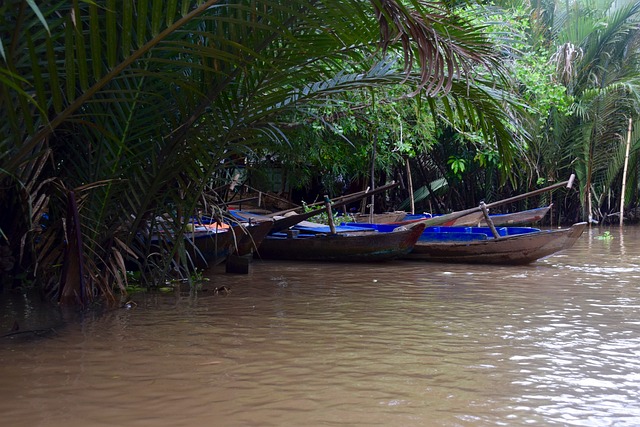 Free Vietnam Canoes photo and picture