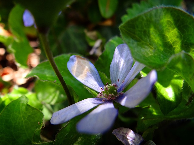Spring, Passion, Art, Creativity, Mind