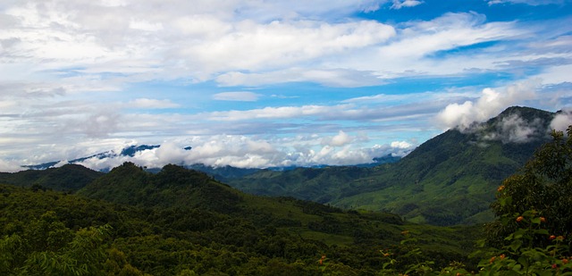 Free Nature Panoramic photo and picture