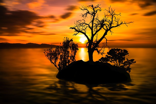 Free Sunset Dawn photo and picture