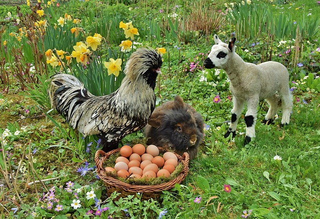 Free Easter Bunny Easter photo and picture