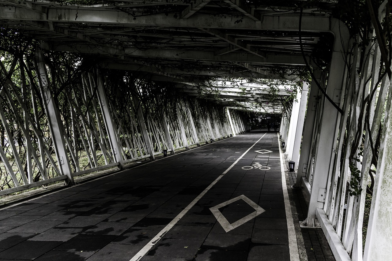 Transportation System - free online jigsaw puzzle photo
