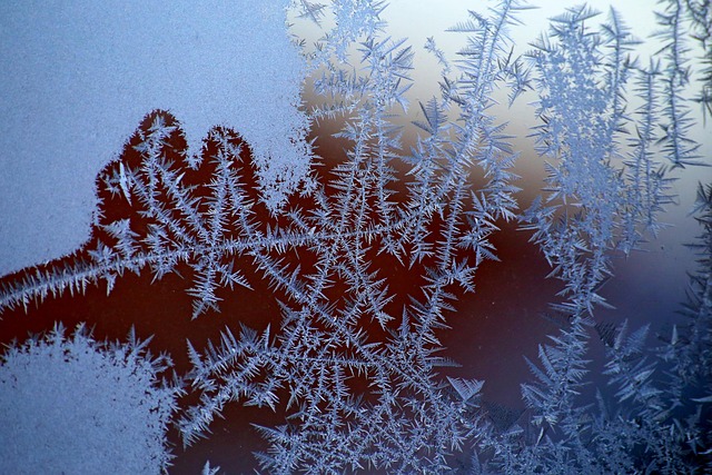 Free Winter Frost photo and picture