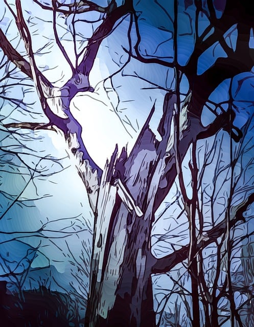Free tree branches sky illustration