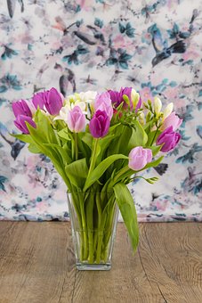 Unduh 800 Wallpaper Bunga Freesia HD Terbaik Unduh 800 Wallpaper Bunga Freesia HD Terbaik