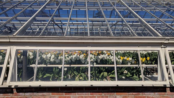 Free Glass Items Greenhouse photo and picture