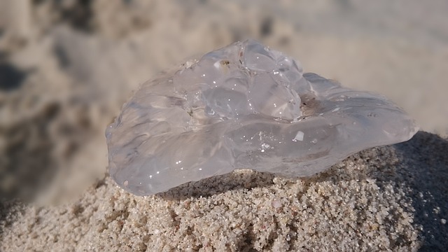 Free Sand Nature photo and picture