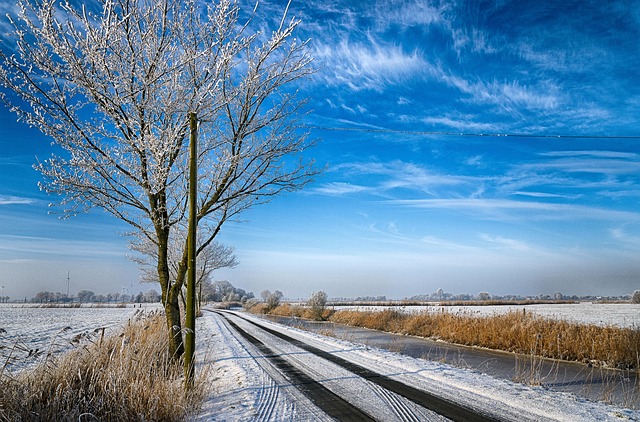 Natur, Træ, Landskab, Vinter, Sæson