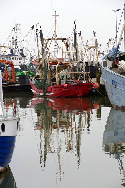 Mar, Porta, Amarração, Barcos