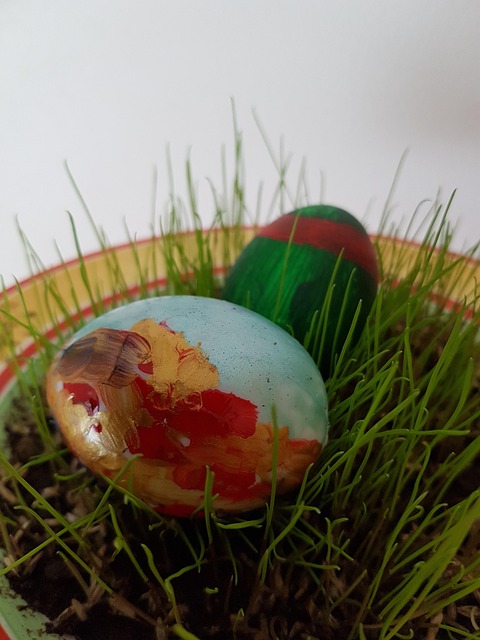 Free Egg Food photo and picture