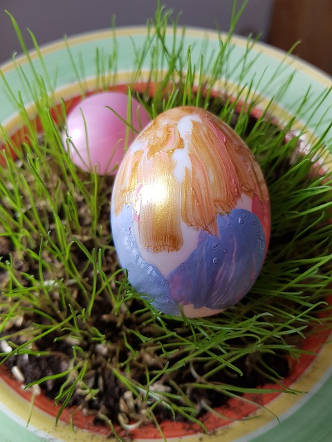 Free Easter Egg photo and picture