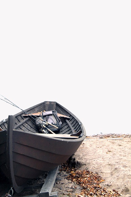 Free Traditional Rowing photo and picture