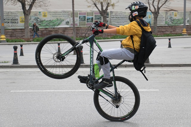 Free Wheel Bike photo and picture