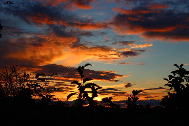 Free Sunset Twilight photo and picture
