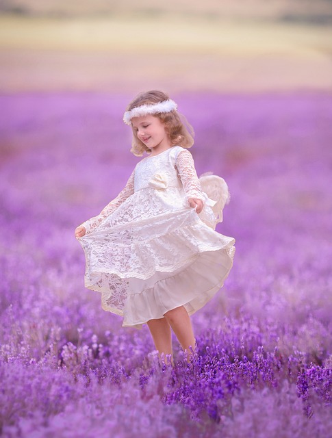 Free Nature Summer photo and picture