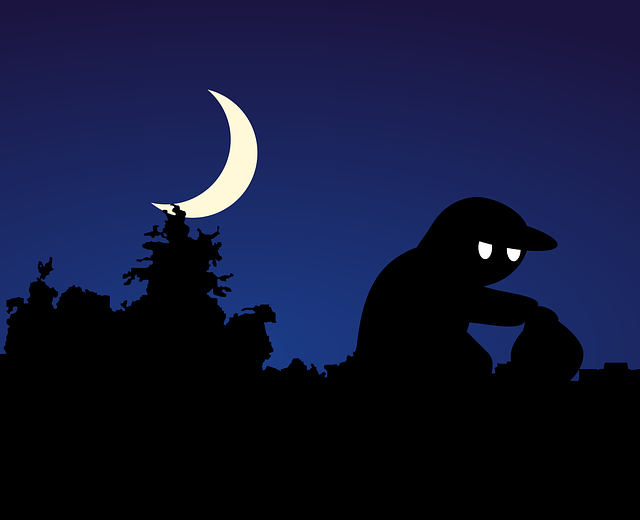 Free thief night theft illustration