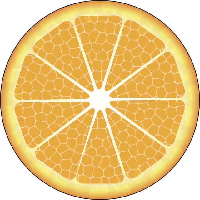Free orange food citric illustration
