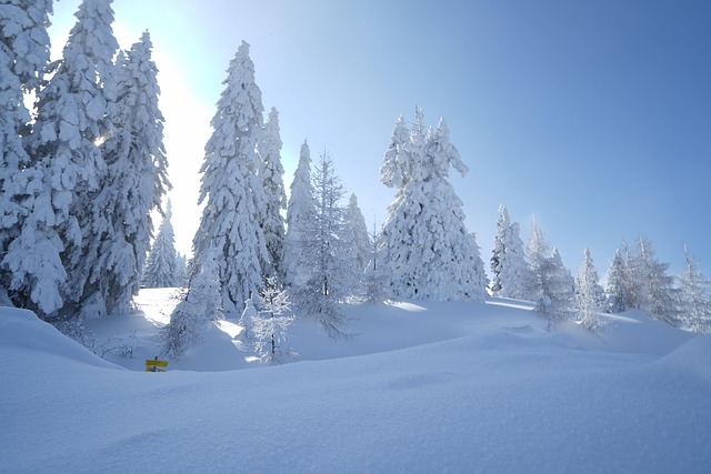 Sne, Vinter, Kold, Vinterlandskab