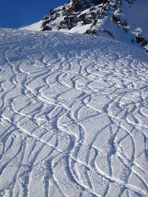 Free Snow Ski photo and picture
